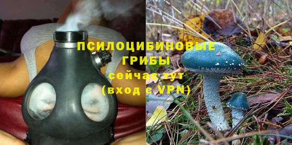 прущие крисы Баксан