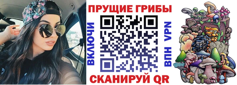 Псилоцибиновые грибы Psilocybine cubensis  купить наркоту  Власиха 
